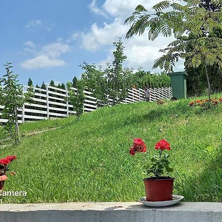 Fruskogorska Idila Apartmani Vrdnik Εξωτερικό φωτογραφία