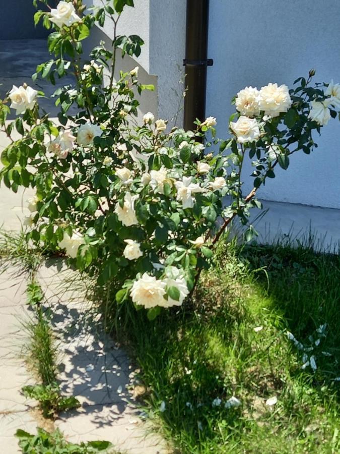 Fruskogorska Idila Apartmani Vrdnik Εξωτερικό φωτογραφία